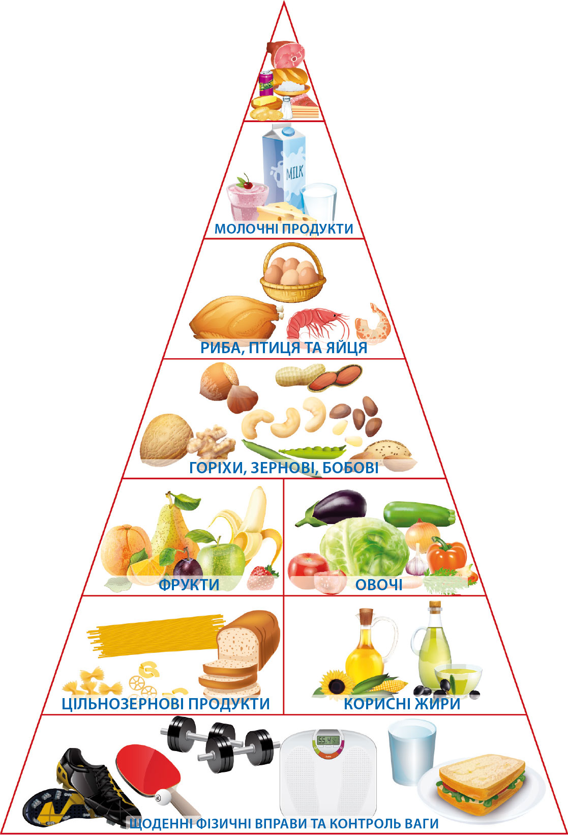 Nutrition-Piramyd.jpg (275 KB)